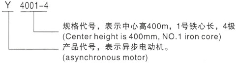 西安泰富西玛Y系列(H355-1000)高压YKS6303-6/2000KW三相异步电机型号说明